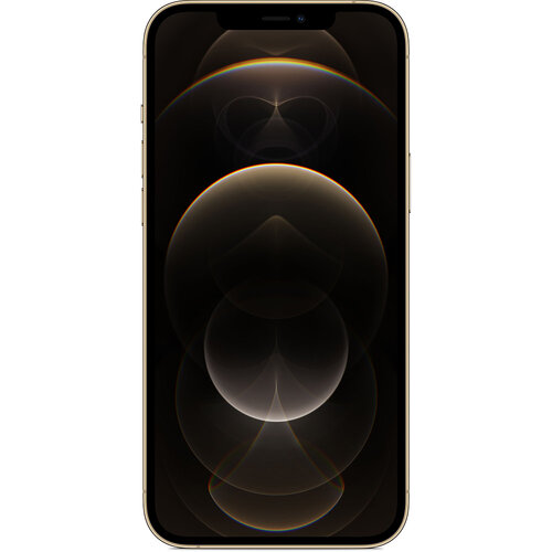 Apple iPhone 12 Pro Max 512GB Gold (MGDK3) - ITMag