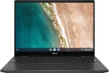 Купить Ноутбук ASUS Chromebook Flip CX5 CX5601FBA (CX5601FBA-I3128)