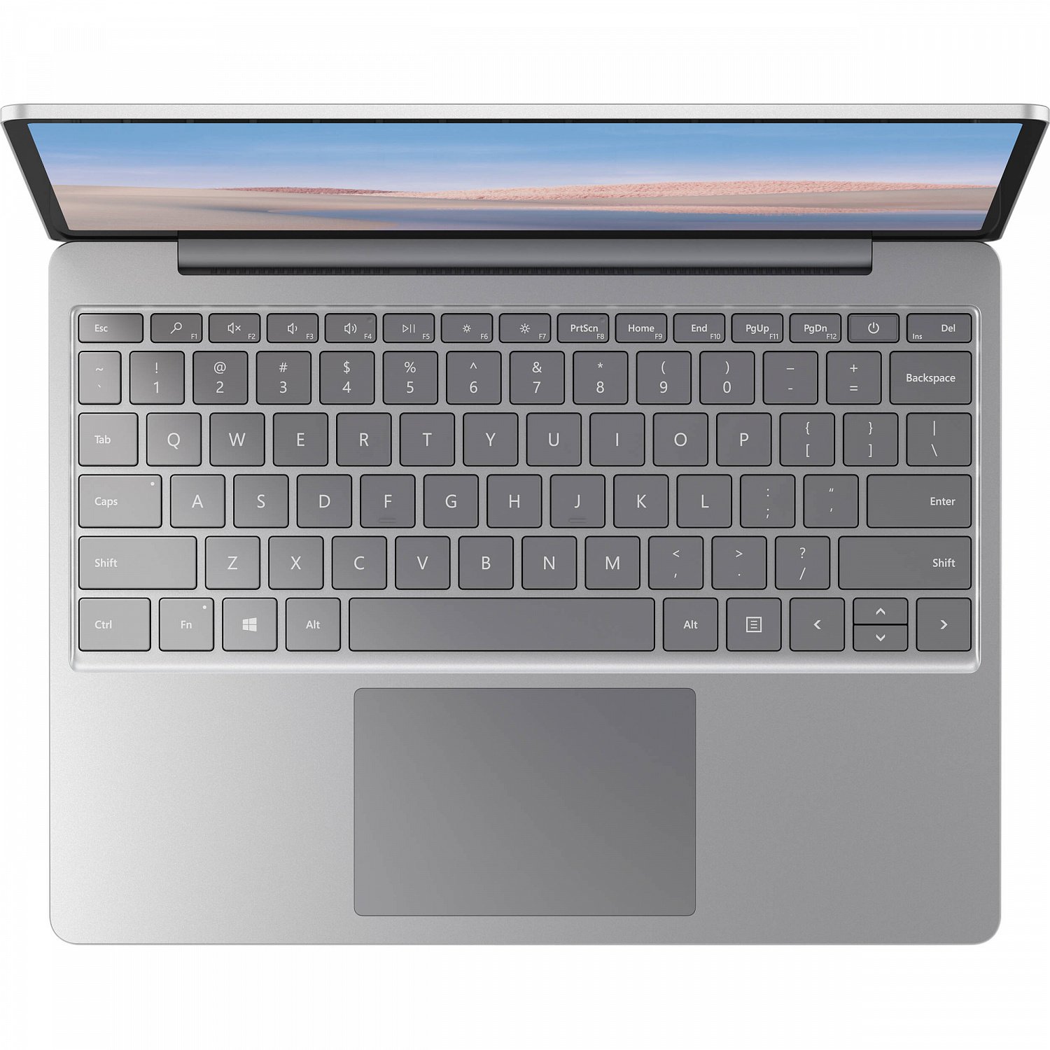 Купить Ноутбук Microsoft Surface Laptop Go Platinum (THH-00001) - ITMag