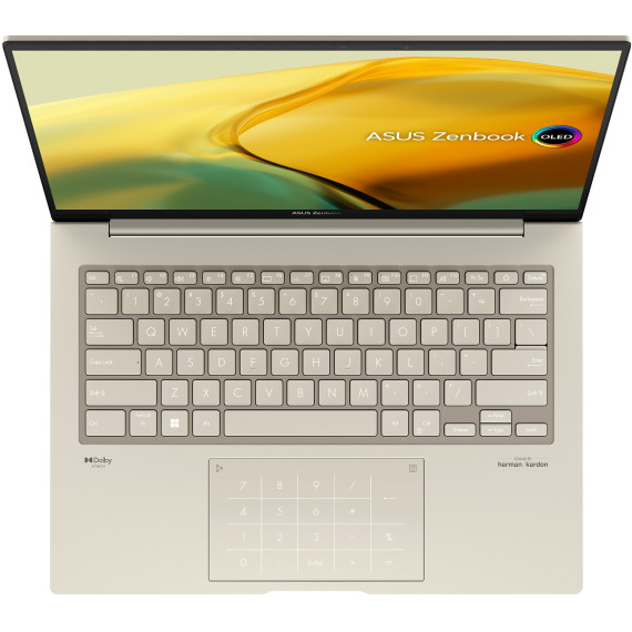 ASUS ZenBook 14X UX3404VA (UX3404VA-M3041W)
