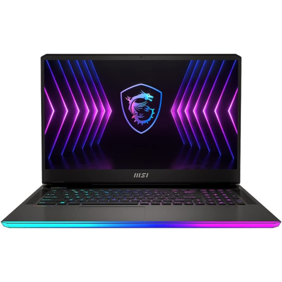 MSI RAIDER GE77HX Gray (12UGS-007CZ)