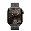 Apple Watch Series 10 GPS + Cellular 42mm Slate Titanium Case w. Slate Milanese Loop (MX053)