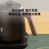 Электрочайник Xiaomi Youpin Ming Zhan Classic Zen Constant Temperature Tea Pot Black (3310839)