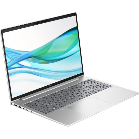 HP ProBook 465 G11 Pike Silver (901H4AV_V1)
