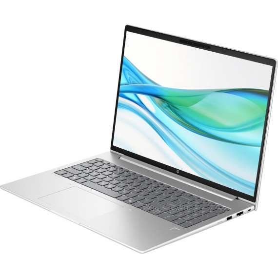 HP ProBook 465 G11 Pike Silver (901H4AV_V3)