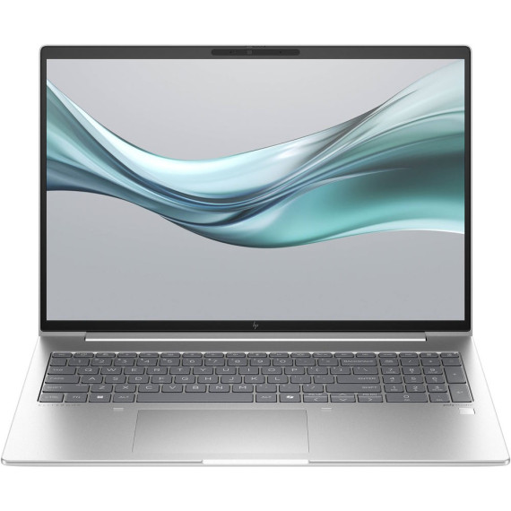 HP EliteBook 665 G11 Silver (8Z719AV_V3)