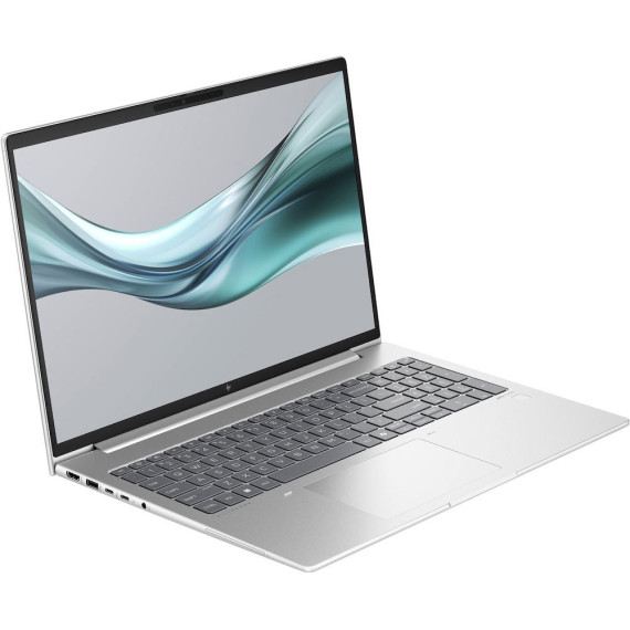 HP EliteBook 665 G11 Silver (8Z719AV_V3)