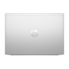 HP ProBook 445 G11 Pike Silver (8Z9P4AV_V1)