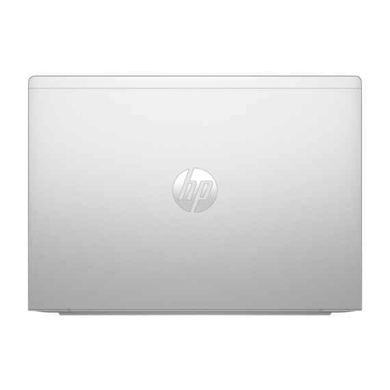 HP ProBook 445 G11 Pike Silver (8Z9P4AV_V1)