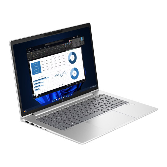 HP ProBook 445 G11 Pike Silver (8Z9P4AV_V2)