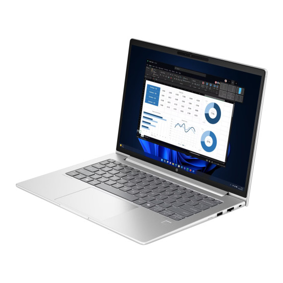 HP ProBook 445 G11 Pike Silver (8Z9P4AV_V2)