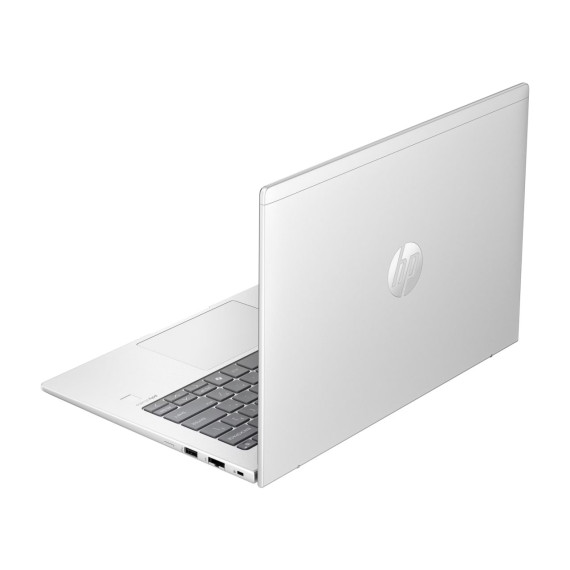 HP ProBook 445 G11 Pike Silver (8Z9P4AV_V2)