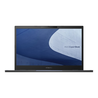 ASUS ExpertBook B2 B2502FVA (B2502FVA-N80031X)