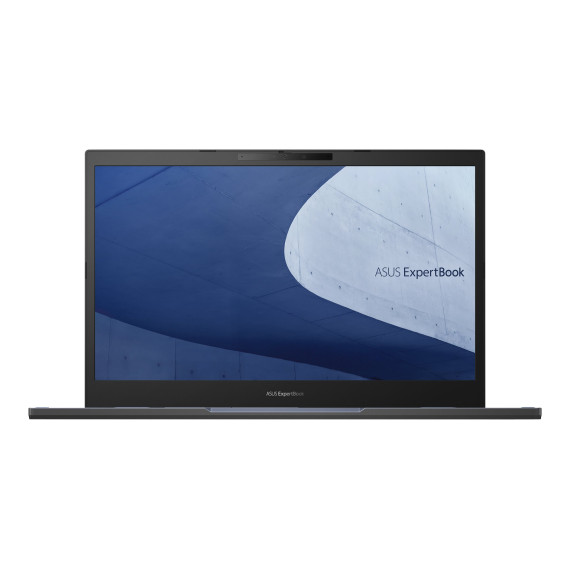ASUS ExpertBook B2 B2502FVA (B2502FVA-N80031X)