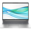HP ProBook 460 G11 Pike Silver (AD0W6ET)