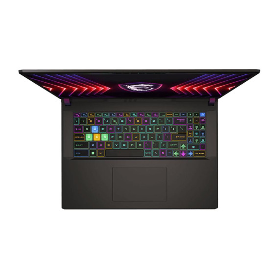 MSI Vector 17 HX (A13VIG-861CZ)