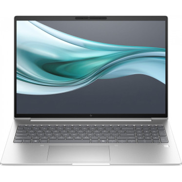 HP EliteBook 660 G11 Silver (A6UC84T)
