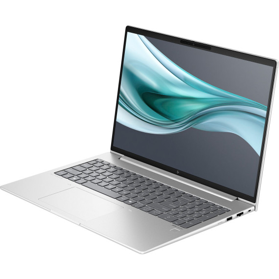 HP EliteBook 660 G11 Silver (A6UC82T)