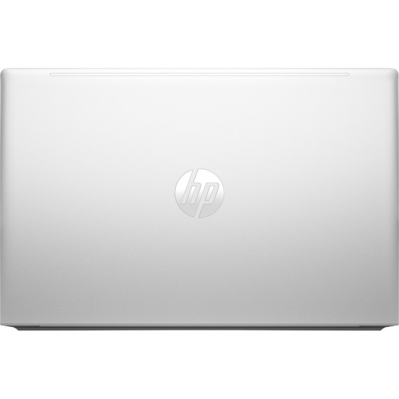 HP ProBook 455 G10 Silver (859R2EA)