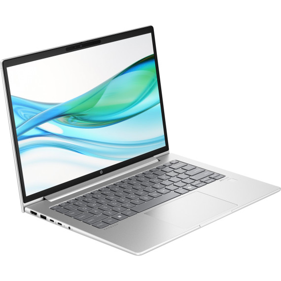 HP ProBook 445 G11 Pike Silver (AD0T4ET)