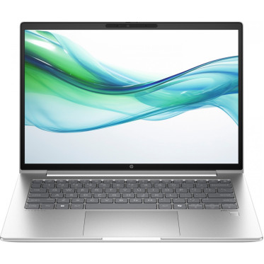 HP ProBook 445 G11 Pike Silver (8Z9P8AV_V2)