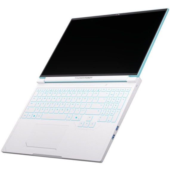 Thunderobot RS16 (RS16-I9139HX56E1Q240ARC)
