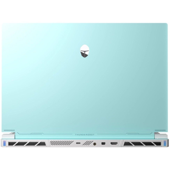Thunderobot RS16 (RS16-I9139HX56E1Q240ARC)