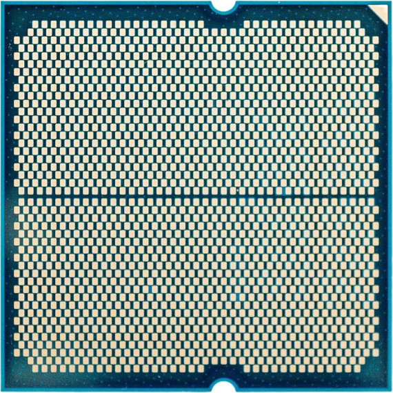 AMD Ryzen 9 9900X (100-100000662WOF)