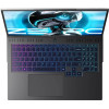 Thunderobot RZ16 (RZ16-i7147HX56C1Q240RB1)