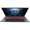 Thunderobot Radiant 16 Dark Gray (1NLYA000055)