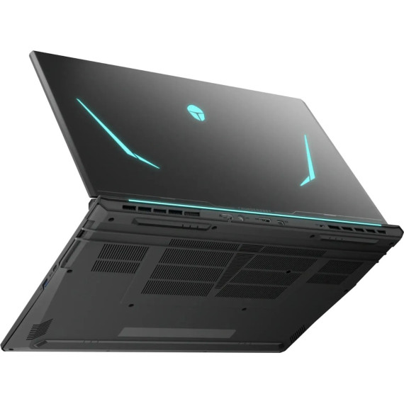 Thunderobot 911 X17 (911X17-i7136H56C1Q165MB)