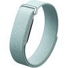 Google Fitbit Air Fog