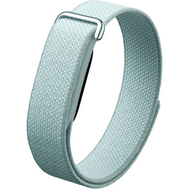 Google Fitbit Air Fog