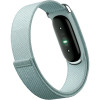 Google Fitbit Air Fog