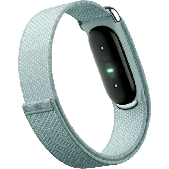Google Fitbit Air Fog