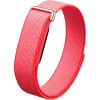 Google Fitbit Air Berry