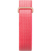 Google Fitbit Air Berry