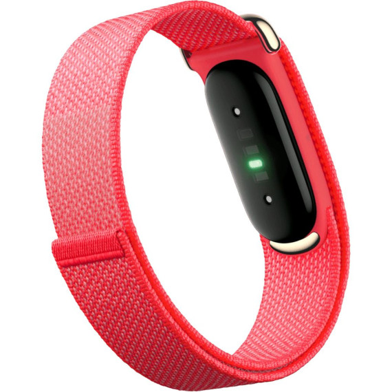 Google Fitbit Air Berry