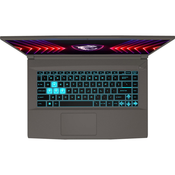 MSI Thin 15 B13VE Cosmos Gray (B13VE-3483XUA)
