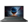 Thunderobot 911 X17 (911X17-i7136H56C1Q165MBD)