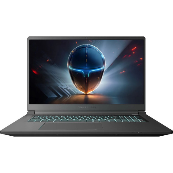 Thunderobot 911 X17 (911X17-i7136H56C1Q165MBD)