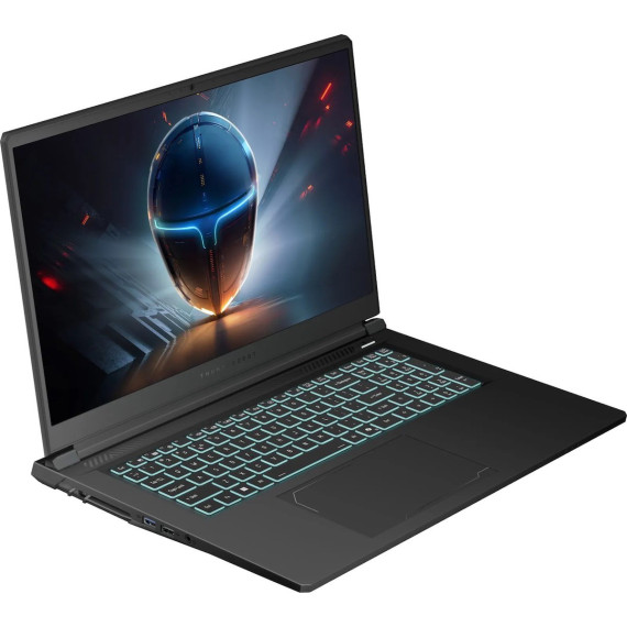 Thunderobot 911 X17 (911X17-i7136H56C1Q165MBD)