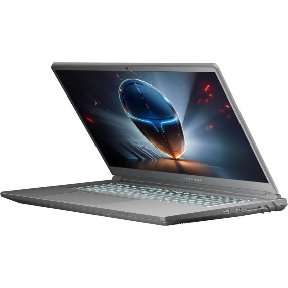 Thunderobot 911 X17 (911X17-i7136H56C1Q165MBD)