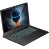 Thunderobot 911 X17 (911X17-i7136H56C1Q165MBD)