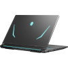 Thunderobot 911 X17 (911X17-i7136H56C1Q165MBD)