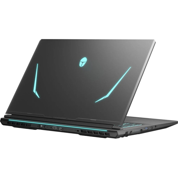 Thunderobot 911 X17 (911X17-i7136H56C1Q165MBD)