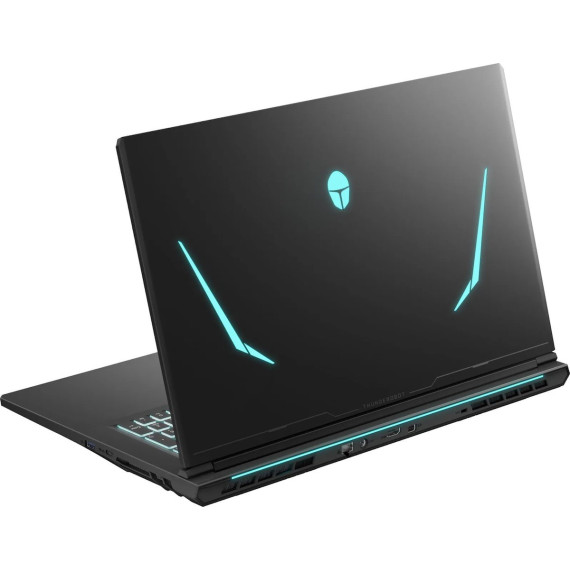 Thunderobot 911 X17 (911X17-i7136H56C1Q165MBD)
