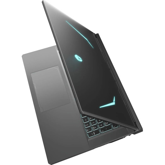 Thunderobot 911 X17 (911X17-i7136H56C1Q165MBD)