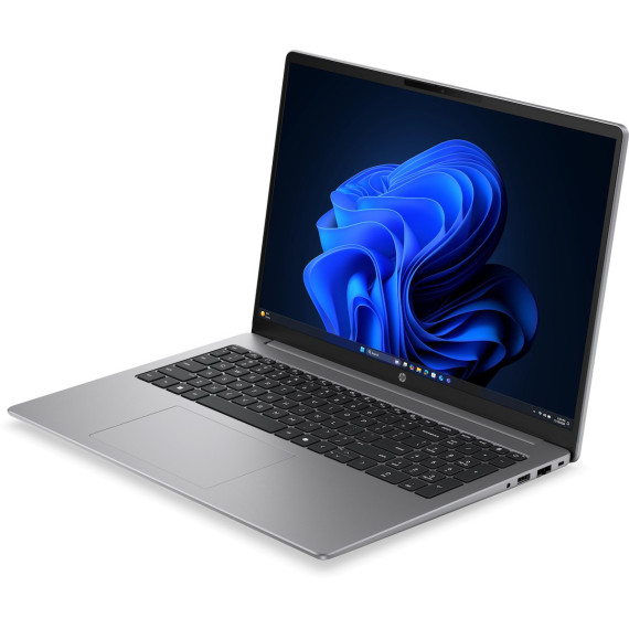 HP 200 G2i Silver (DS9F8ET)
