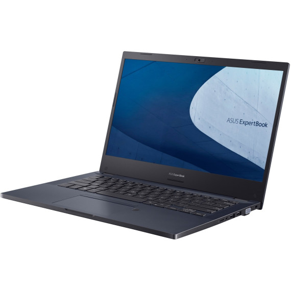 ASUS ExpertBook P2451FA Star Black (P2451FA-EK2317)